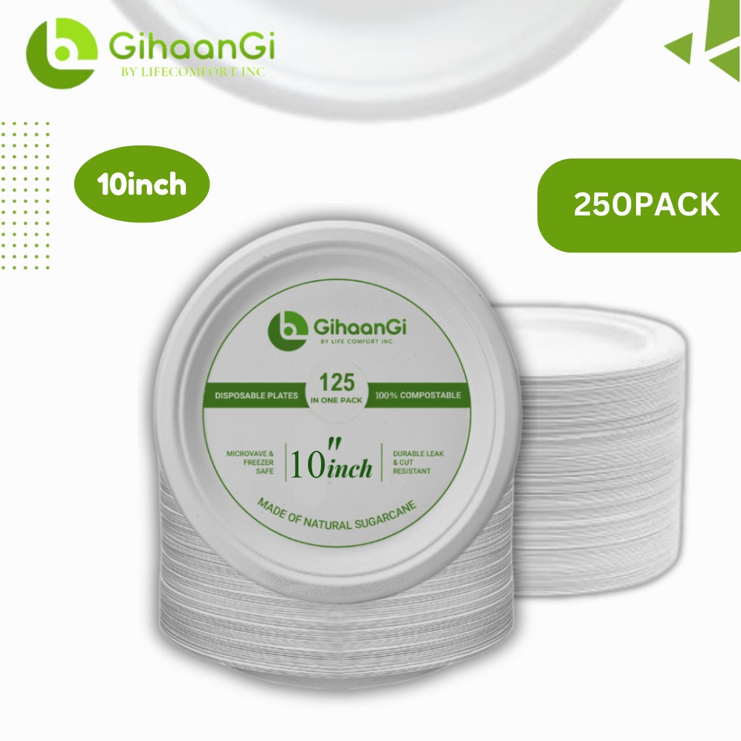 White Disposable Plates | 10 inch | High-quality Product | Pack of 250